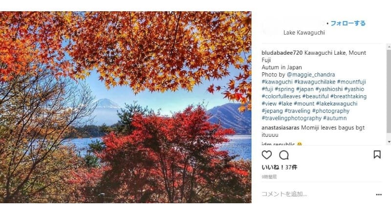 秋には紅葉の写真撮影が訪日外国人に人気